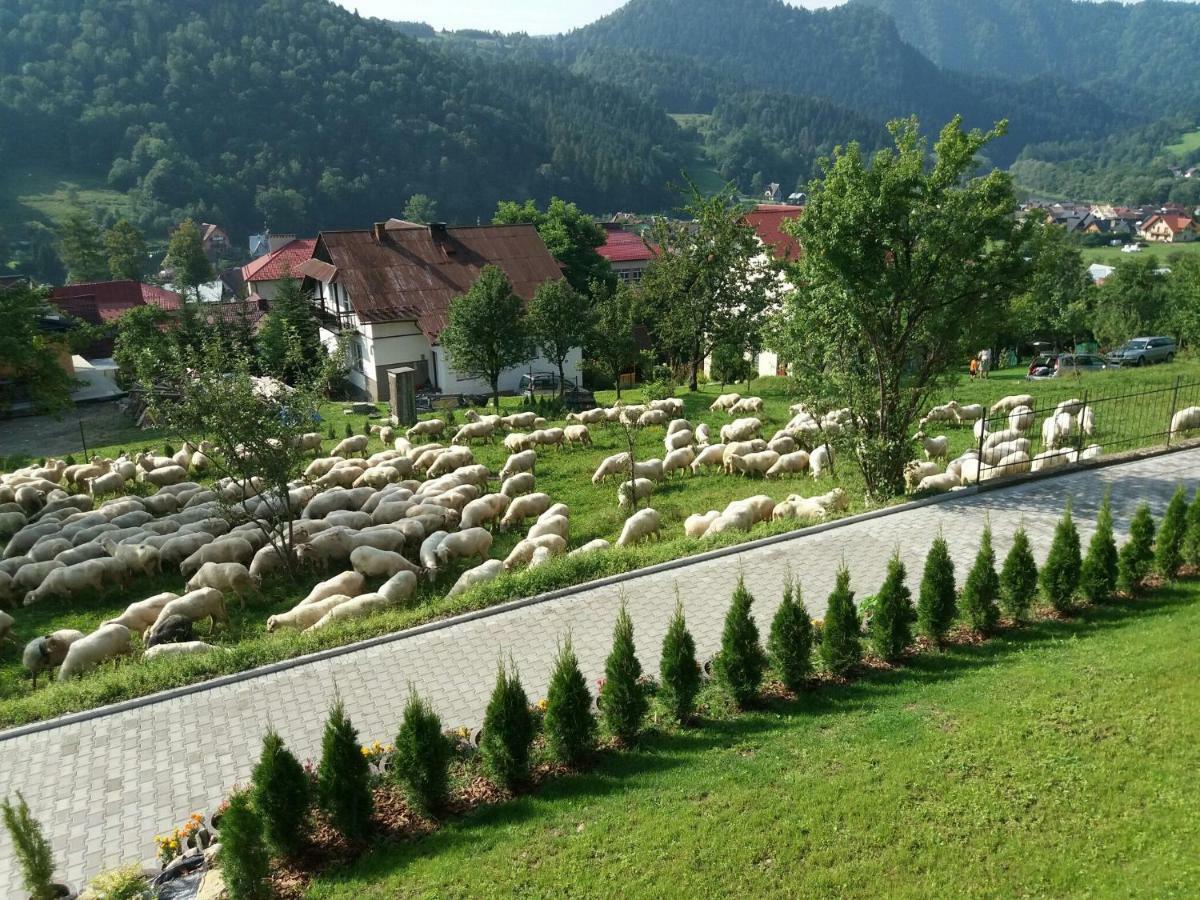 Pokoje U Celinki Szczawnica Buitenkant foto